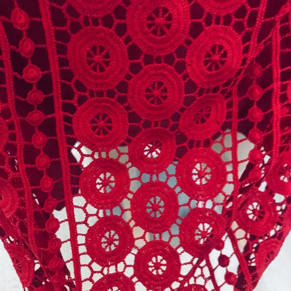 Stunning Alexis S deep red lace dress new - Picture 5 of 14